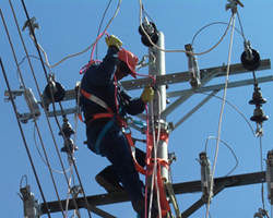 Energía de Pereira Presentó Utilidades por $ 6.507 Millones